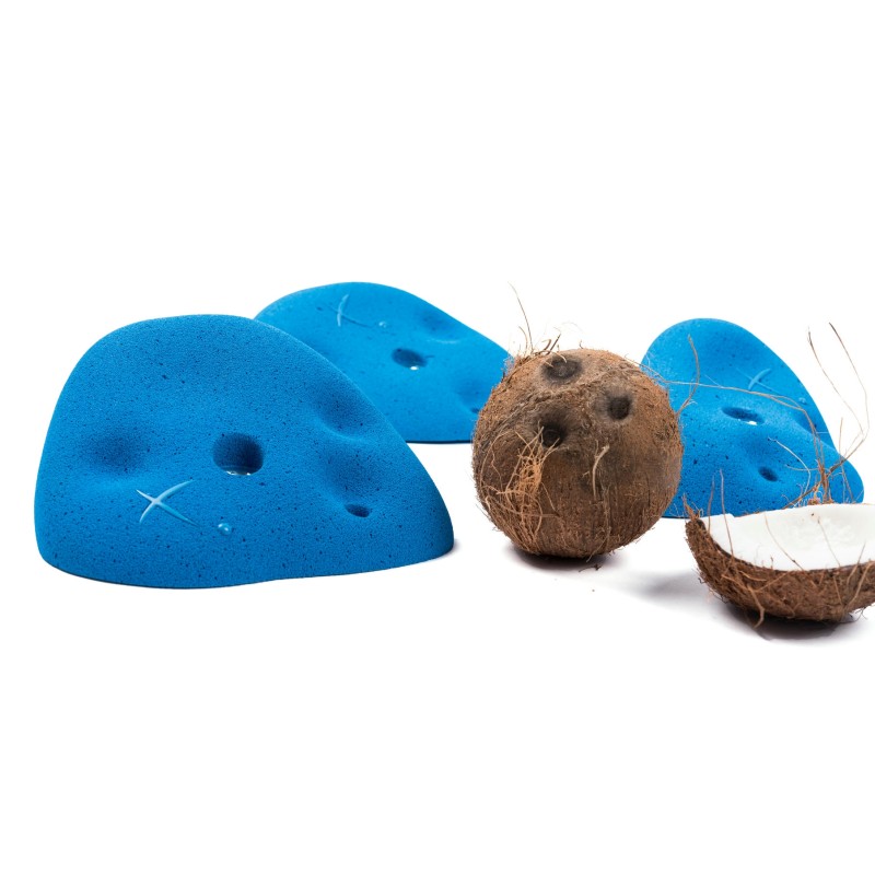 Coconut - Roof Jugs XXL1