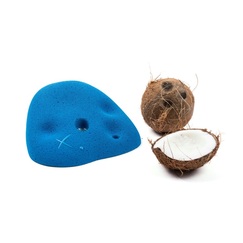 Coconut - Roof Jugs XXL1