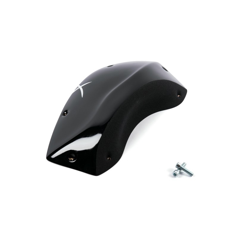 The Foxes n°02 (DUAL)