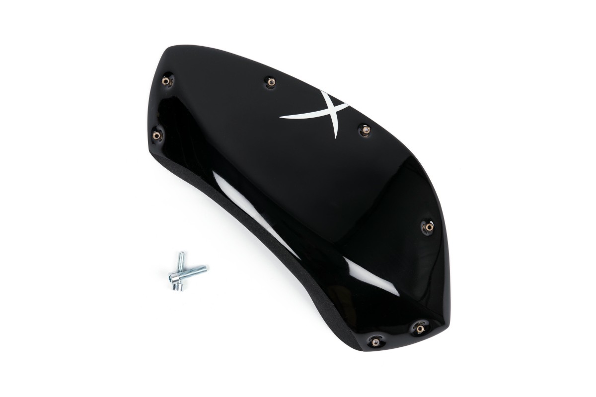 The Foxes n°01 (DUAL)