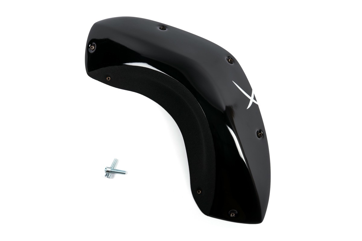 The Foxes n°06 (DUAL)