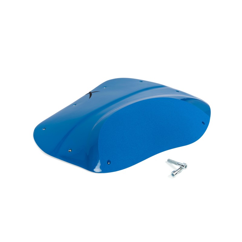 The Foxes n°24 (DUAL)