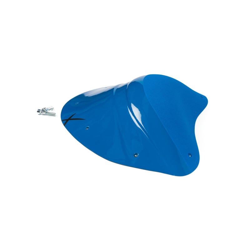 The Foxes n°25 (DUAL)