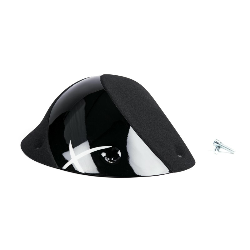 The Foxes n°09 (DUAL)