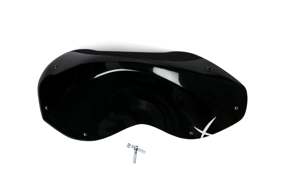 The Foxes n°16 (DUAL)