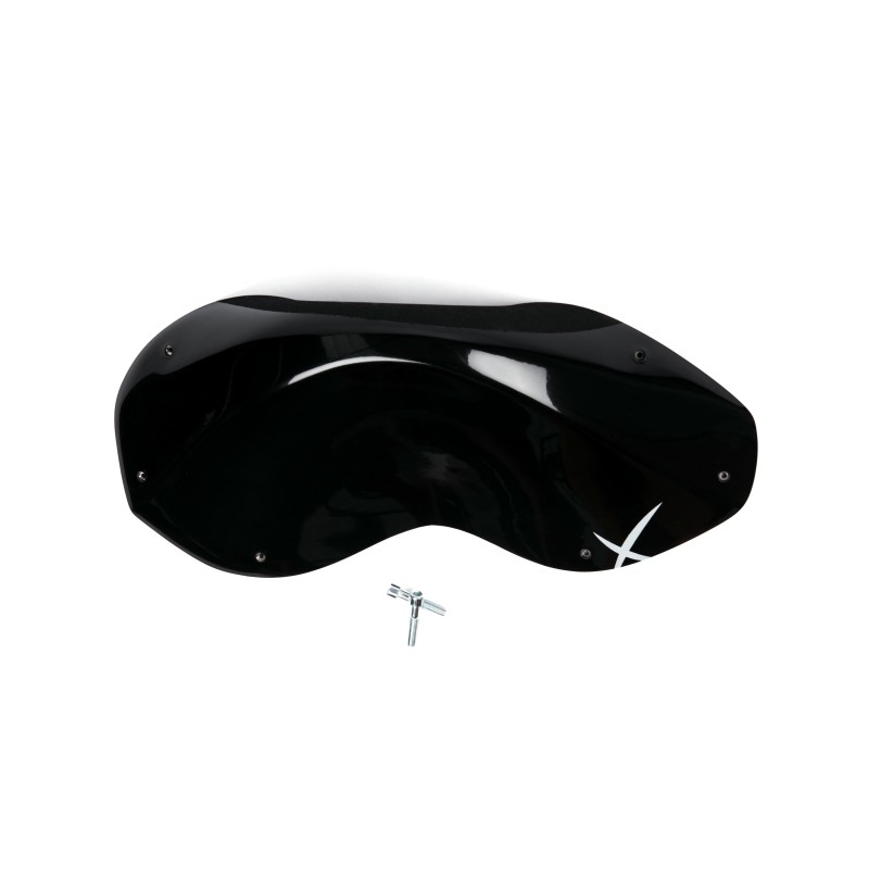 The Foxes n°16 (DUAL)