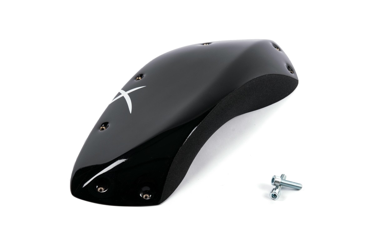 The Foxes n°01 (DUAL)