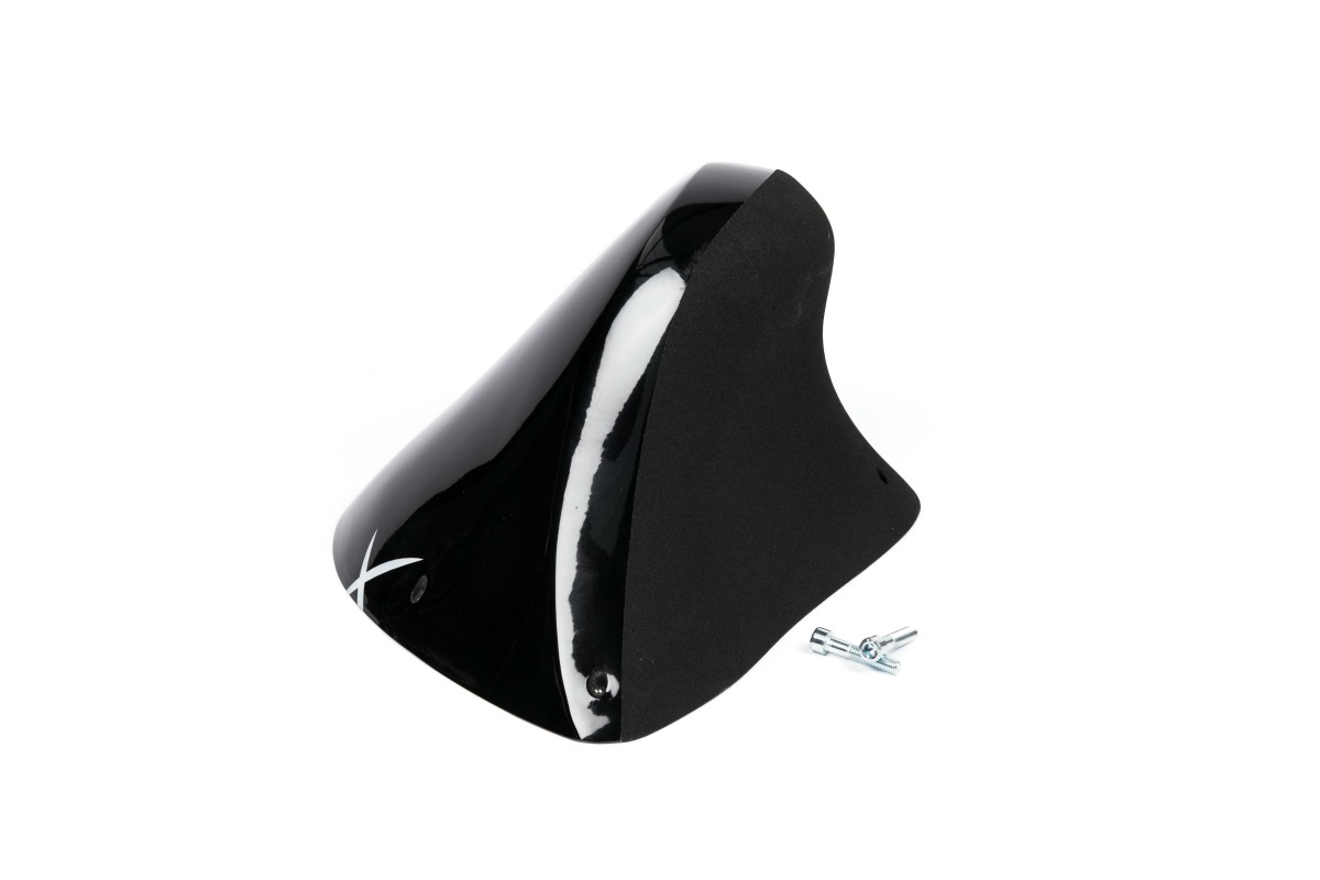 The Foxes n°21 (DUAL)