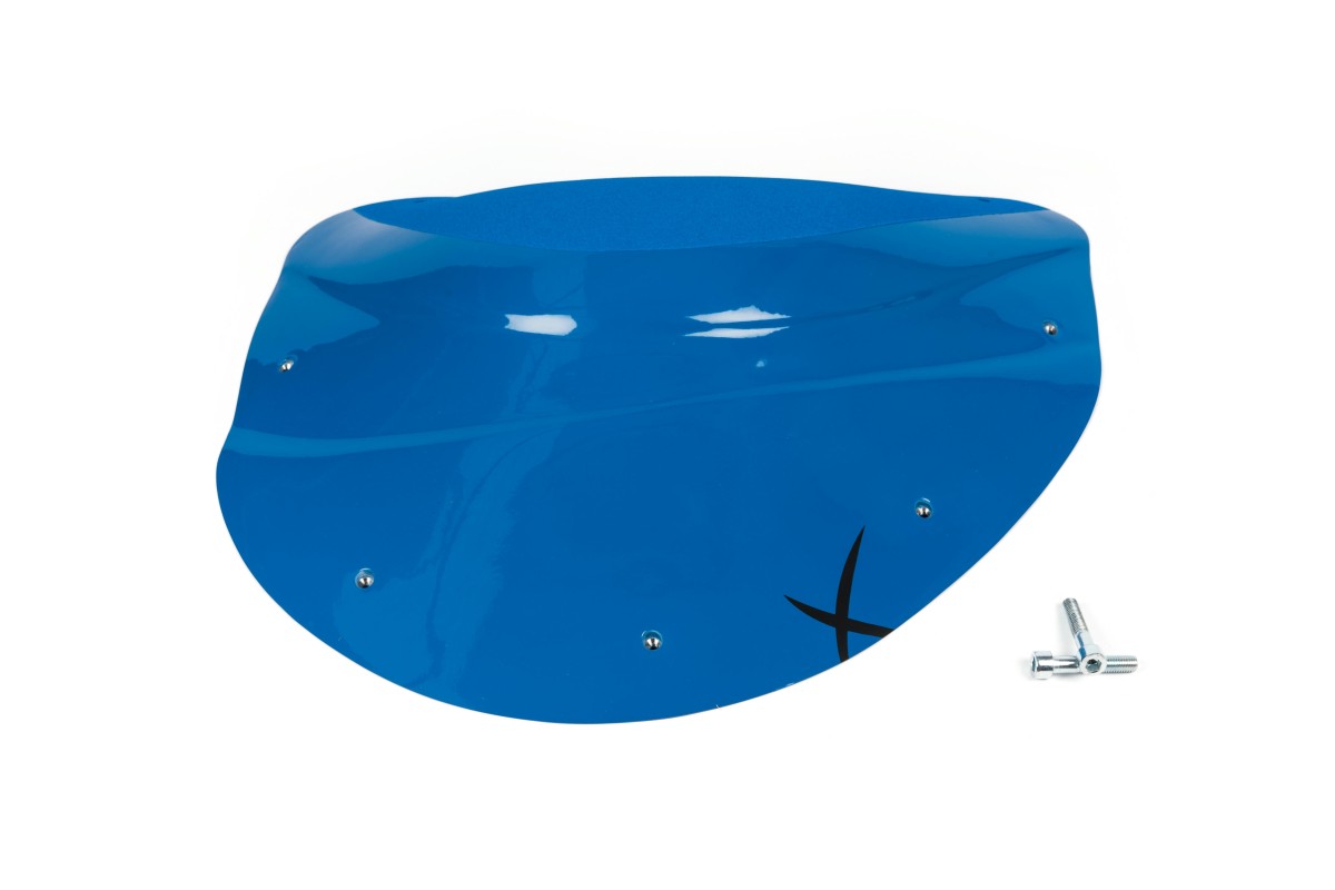 The Foxes n°25 (DUAL)