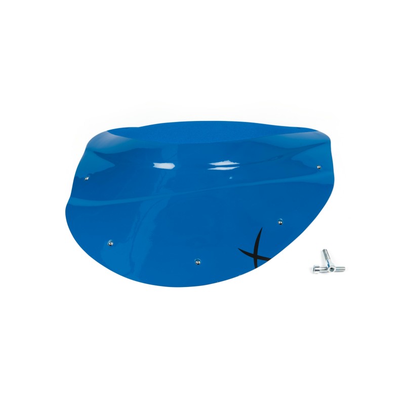 The Foxes n°25 (DUAL)