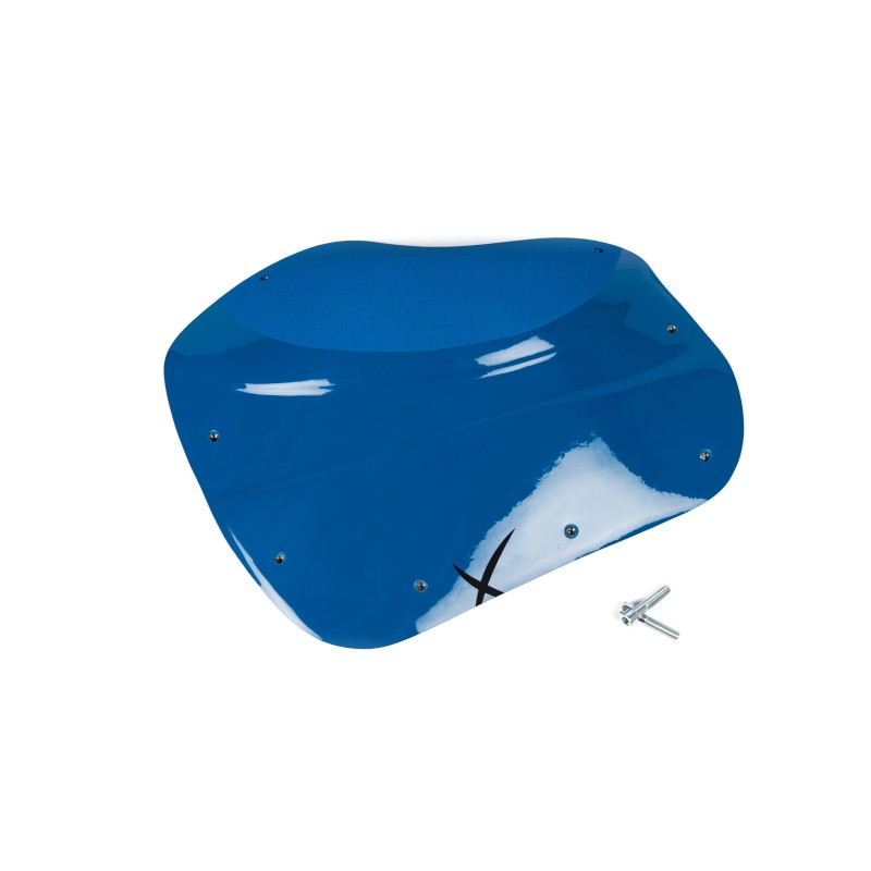 The Foxes n°24 (DUAL)