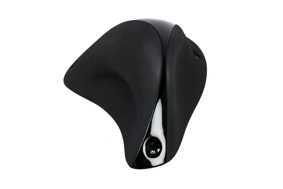 The Foxes n°09 (DUAL)