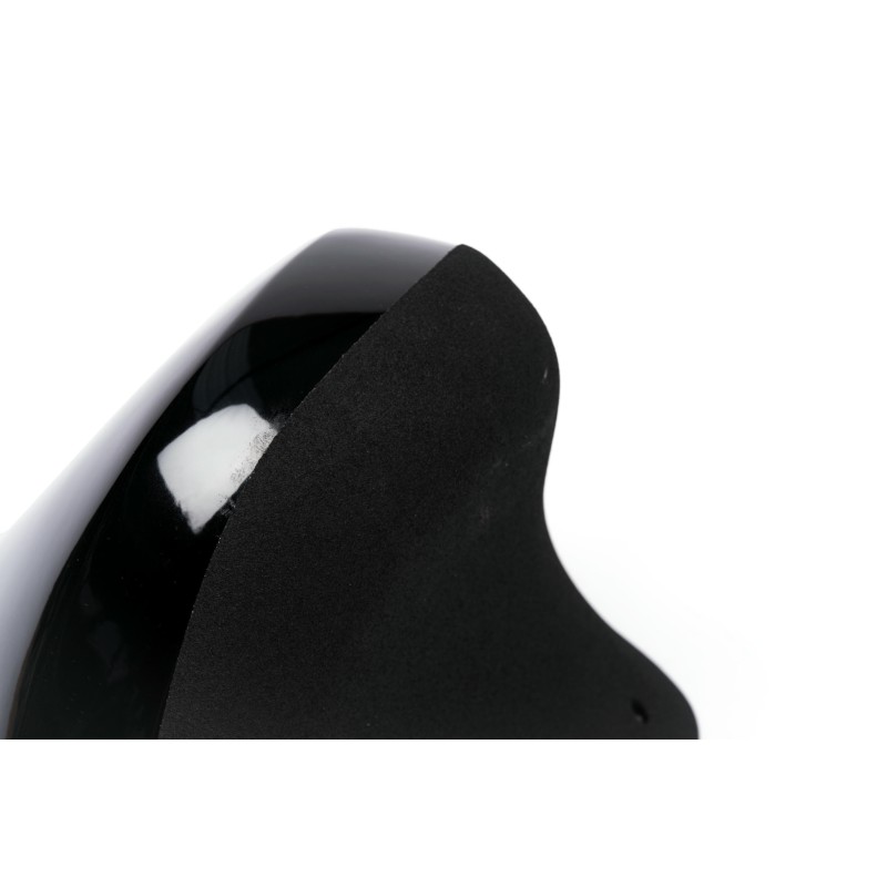 The Foxes n°21 (DUAL)