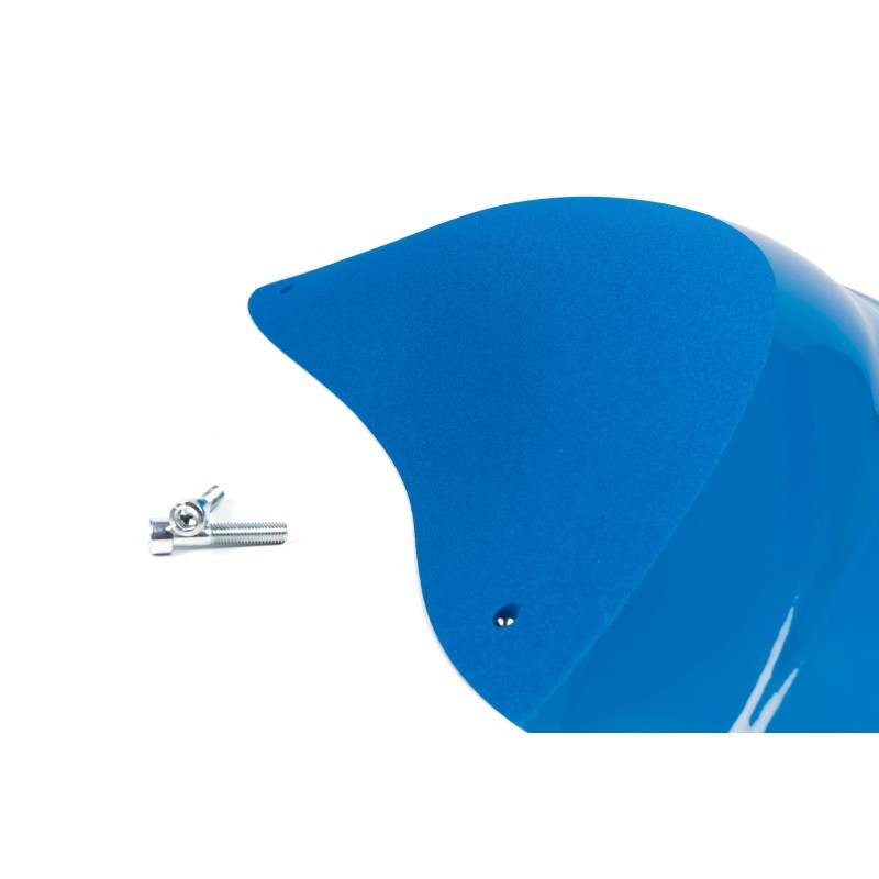 The Foxes n°25 (DUAL)