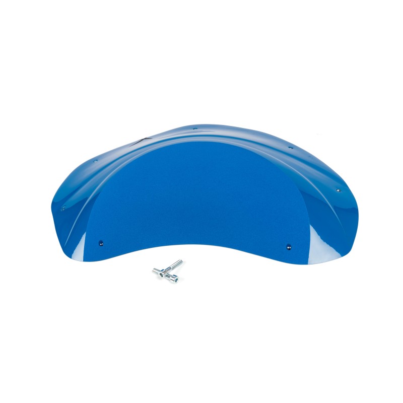 The Foxes n°29 (DUAL)