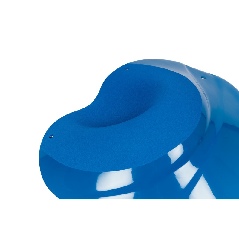 The Foxes n°23 (DUAL)