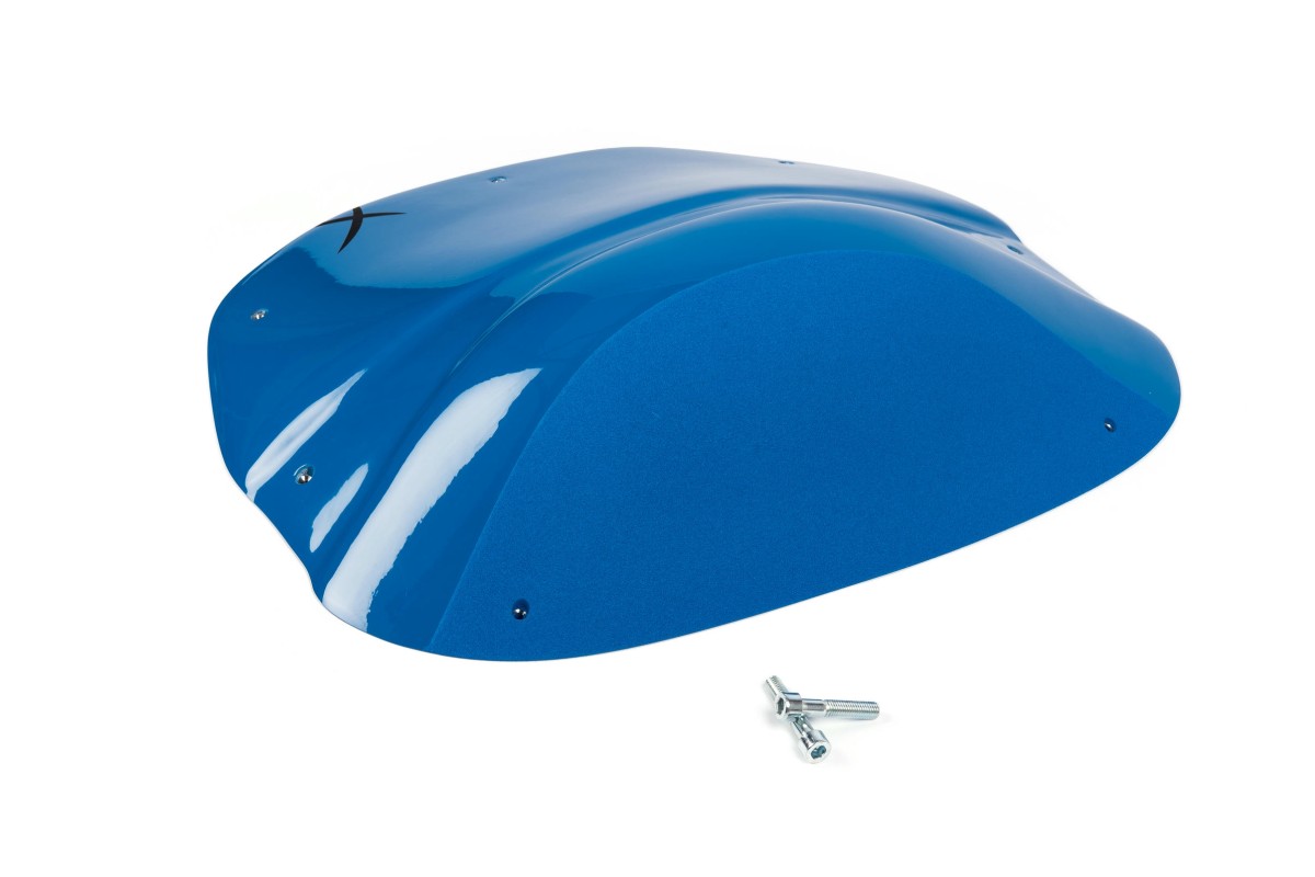 The Foxes n°28 (DUAL)