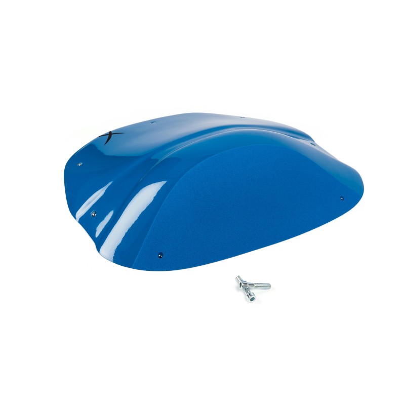 The Foxes n°28 (DUAL)