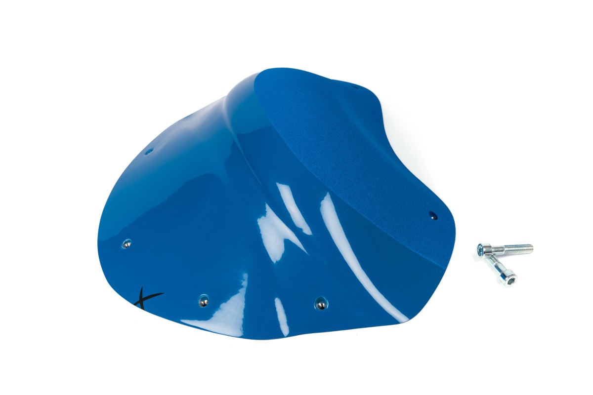 The Foxes n°22 (DUAL)