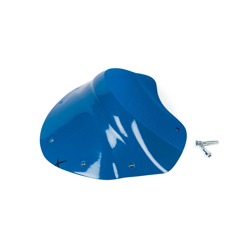 The Foxes n°22 (DUAL)