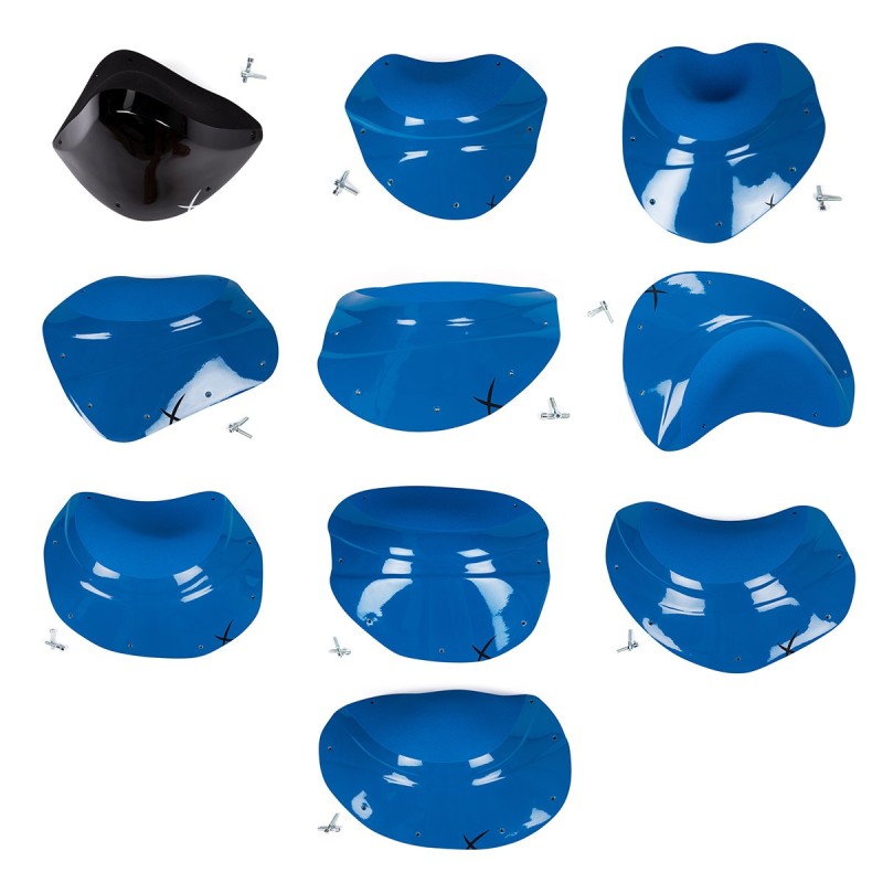 The Foxes 21 - 30 (DUAL)