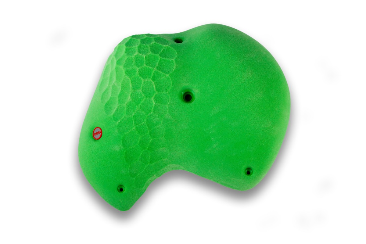 Turtles - 360-074PU