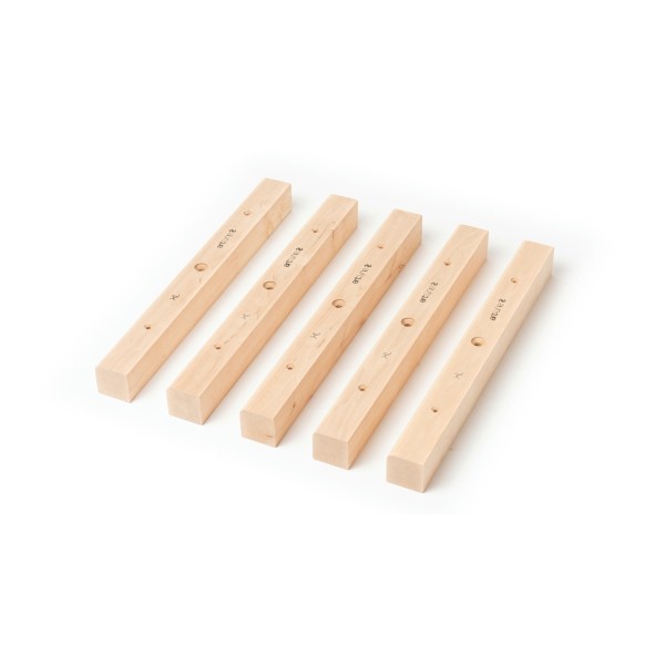 TrainingLine - Flat Rungs XL