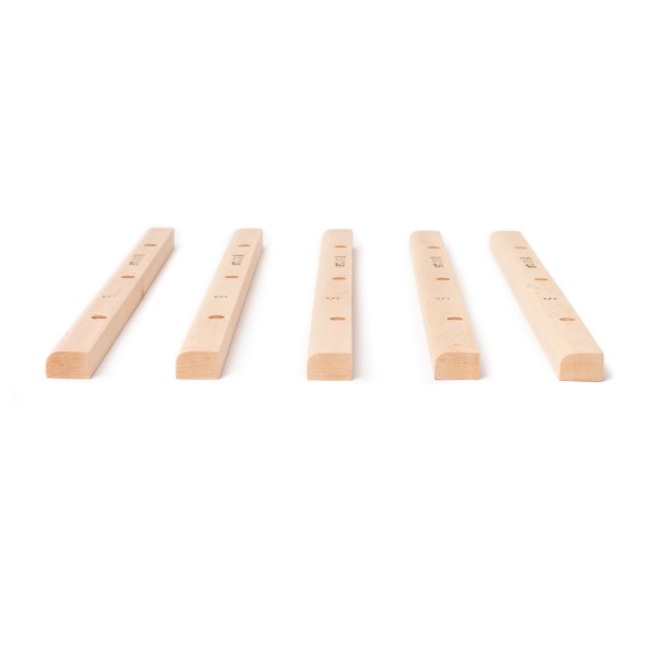 TrainingLine - Flat Rungs S 2
