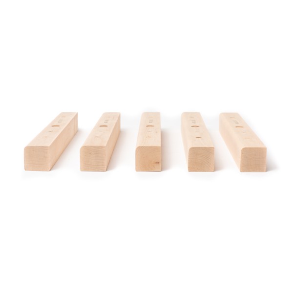 TrainingLine - Flat Rungs XL 2