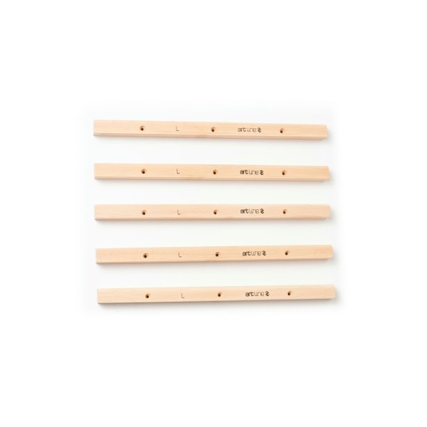 TrainingLine - Flat Rungs L 2