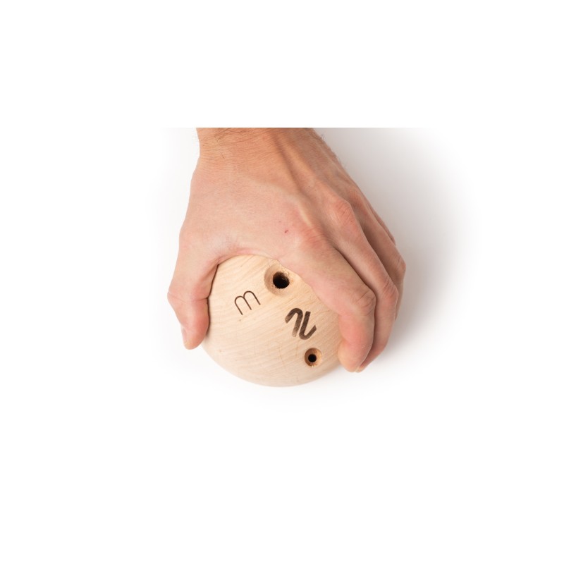 TrainingLine - Hemisphere M - 2/3