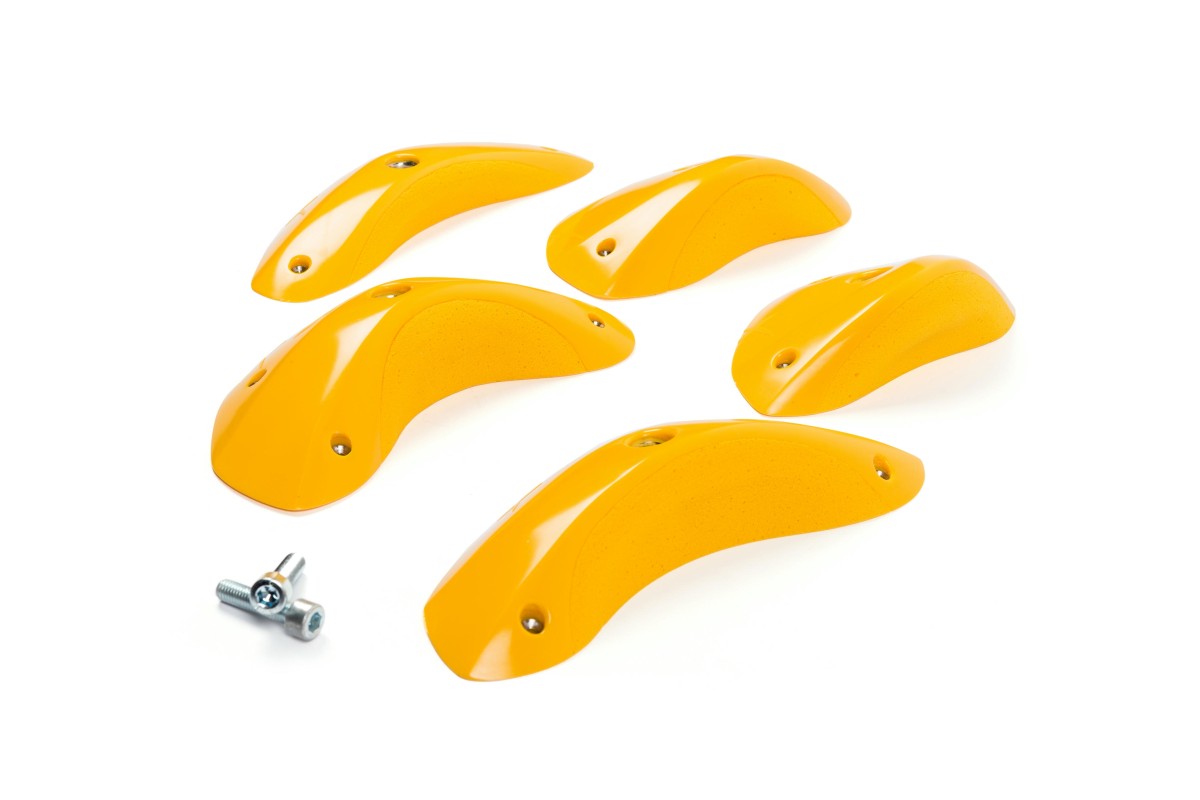 Foxes - Round Edges L4