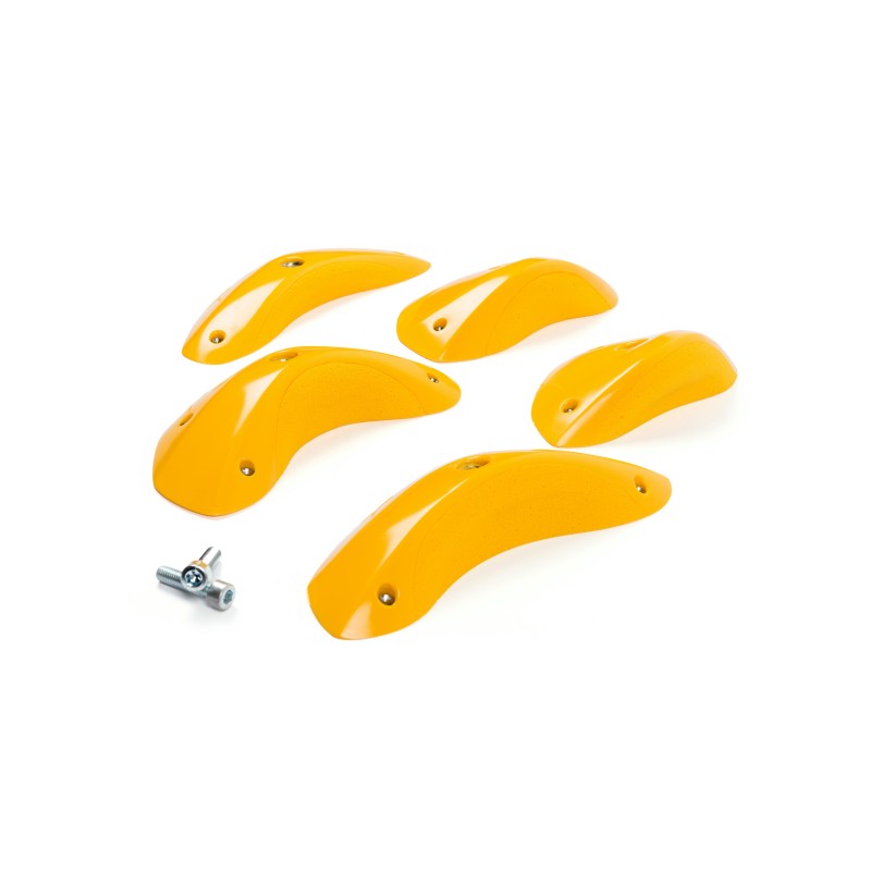 Foxes - Round Edges L4