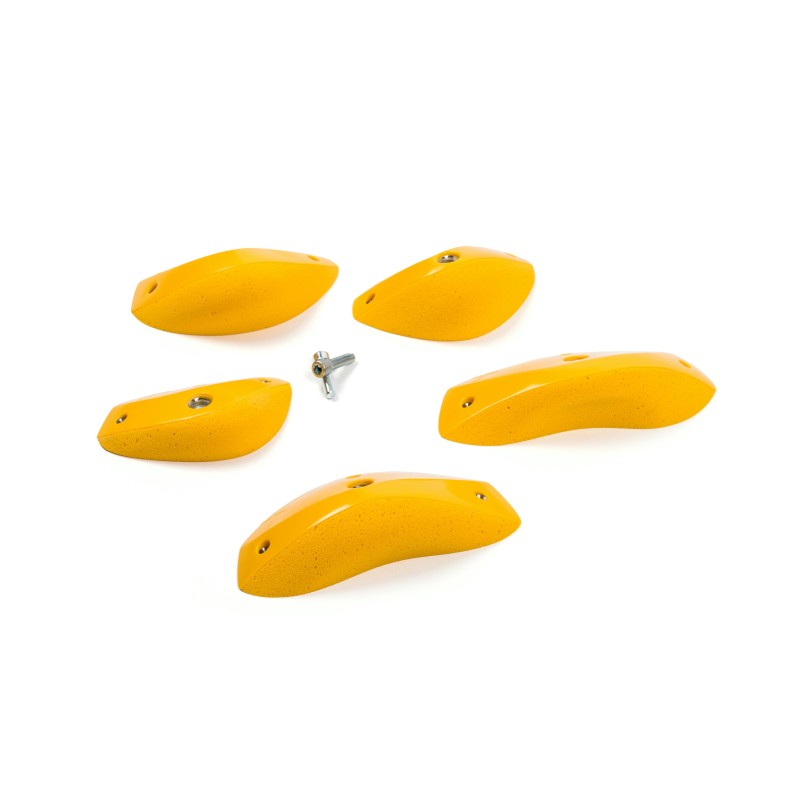 Foxes - Round Edges L3