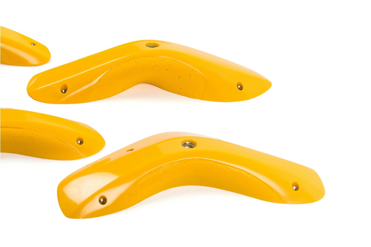 Foxes - Round Edges XL 1