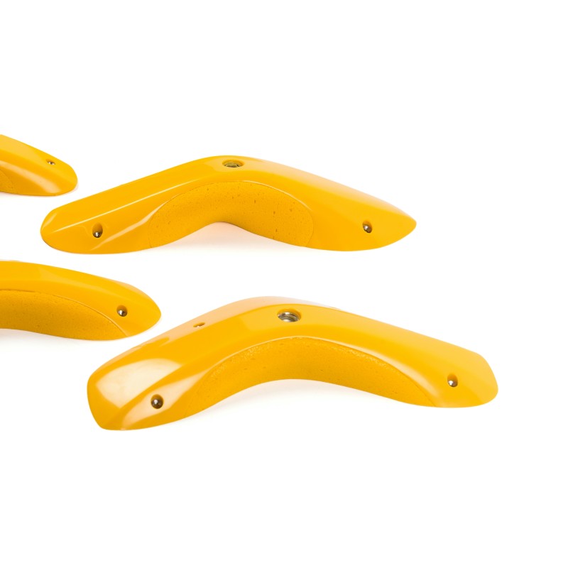 Foxes - Round Edges XL 1