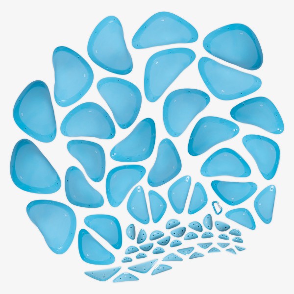 Seashells - lead set