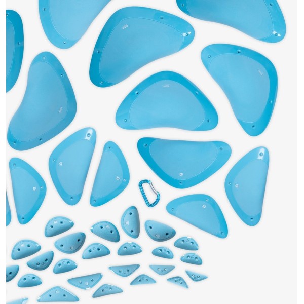 Seashells - complete set