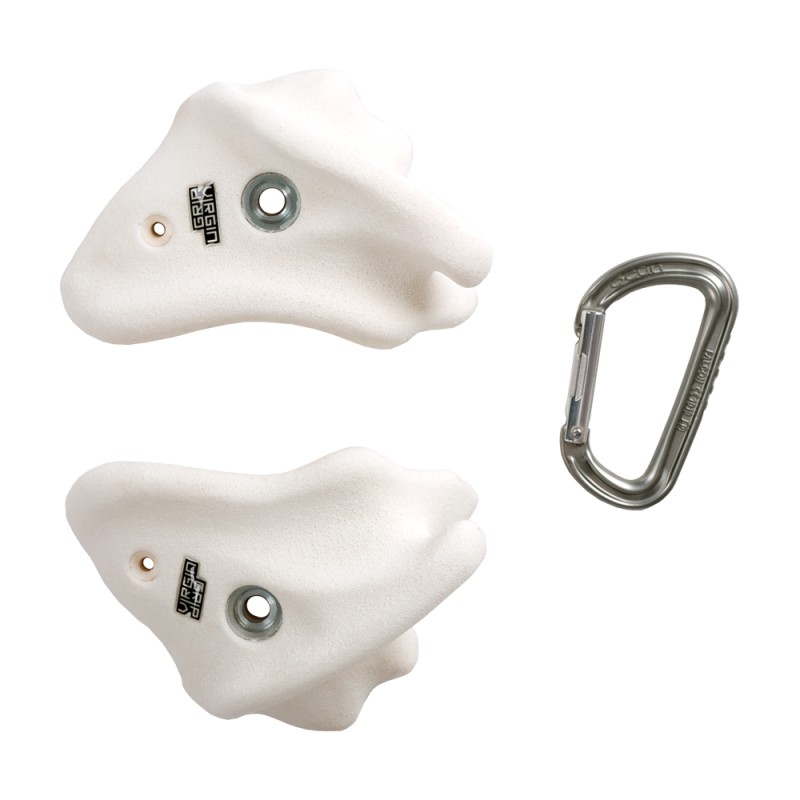 Bones - the scapula bones