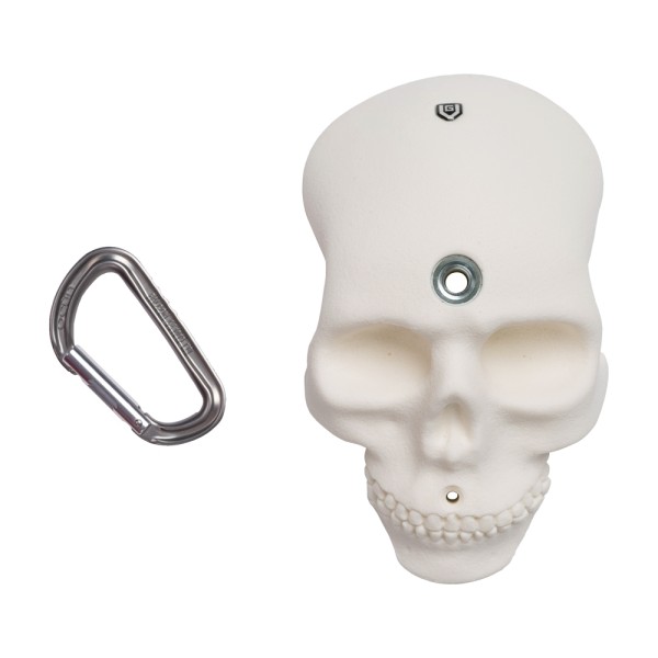 Bones - the small skull