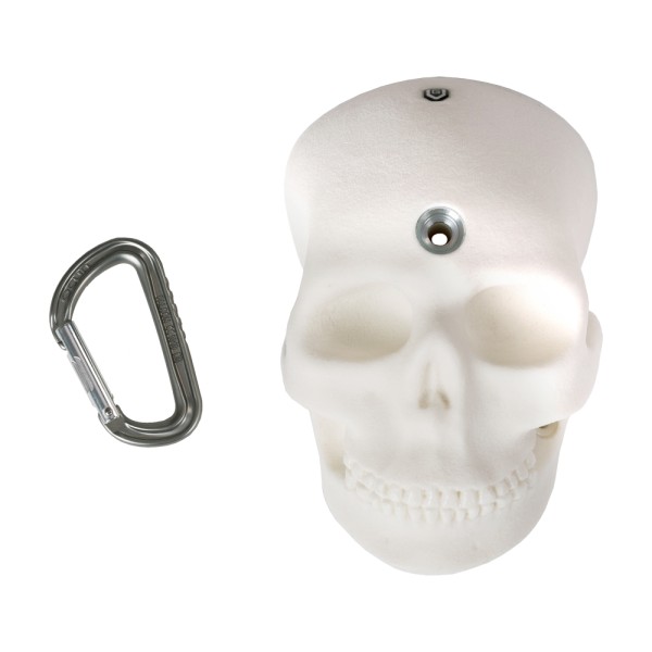 Bones - the half skull