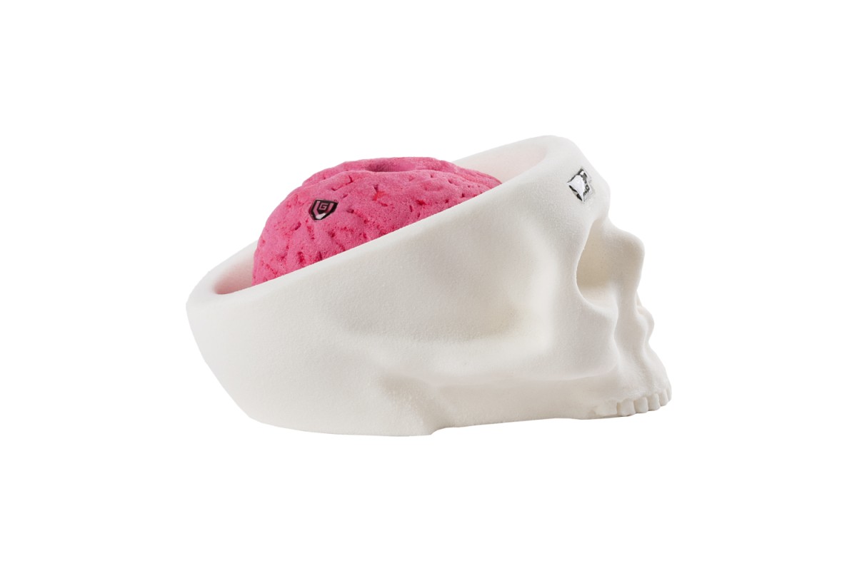 Bones - skull and brain