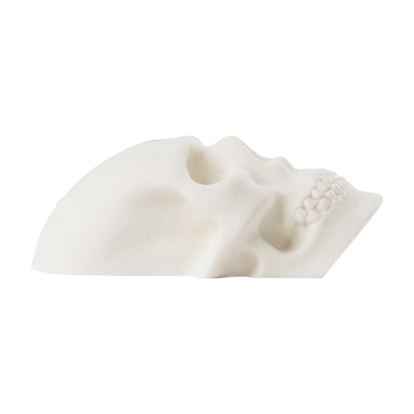 Bones - the half skull 2