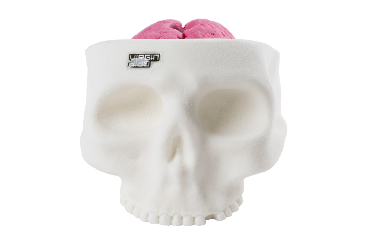 Bones - skull and brain