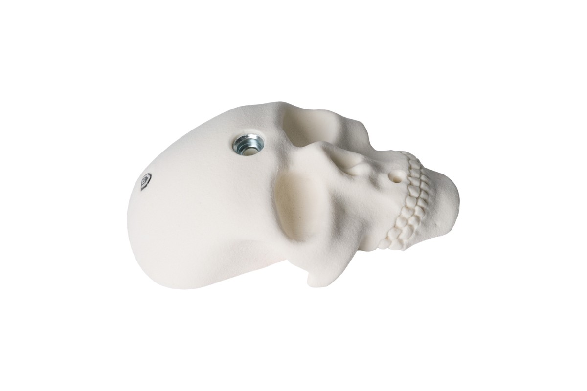 Bones - the small skull