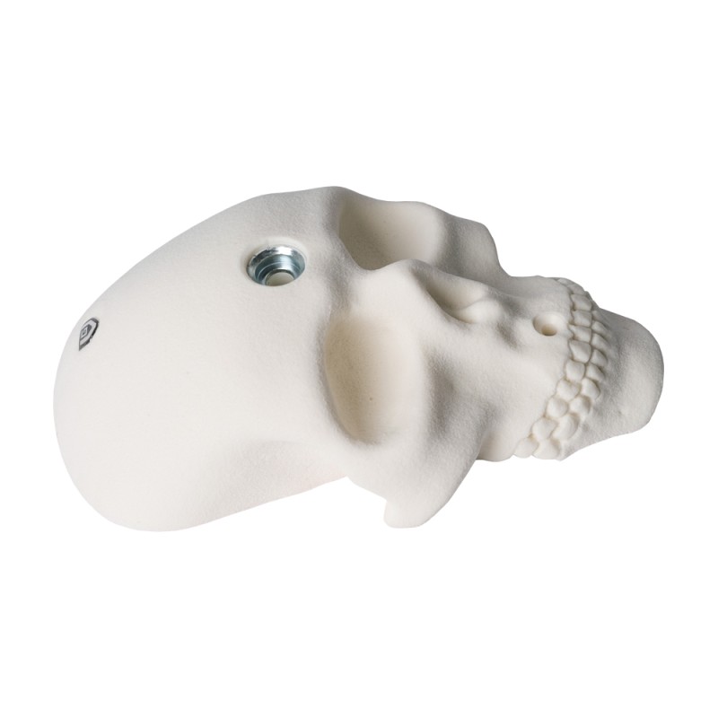 Bones - the small skull