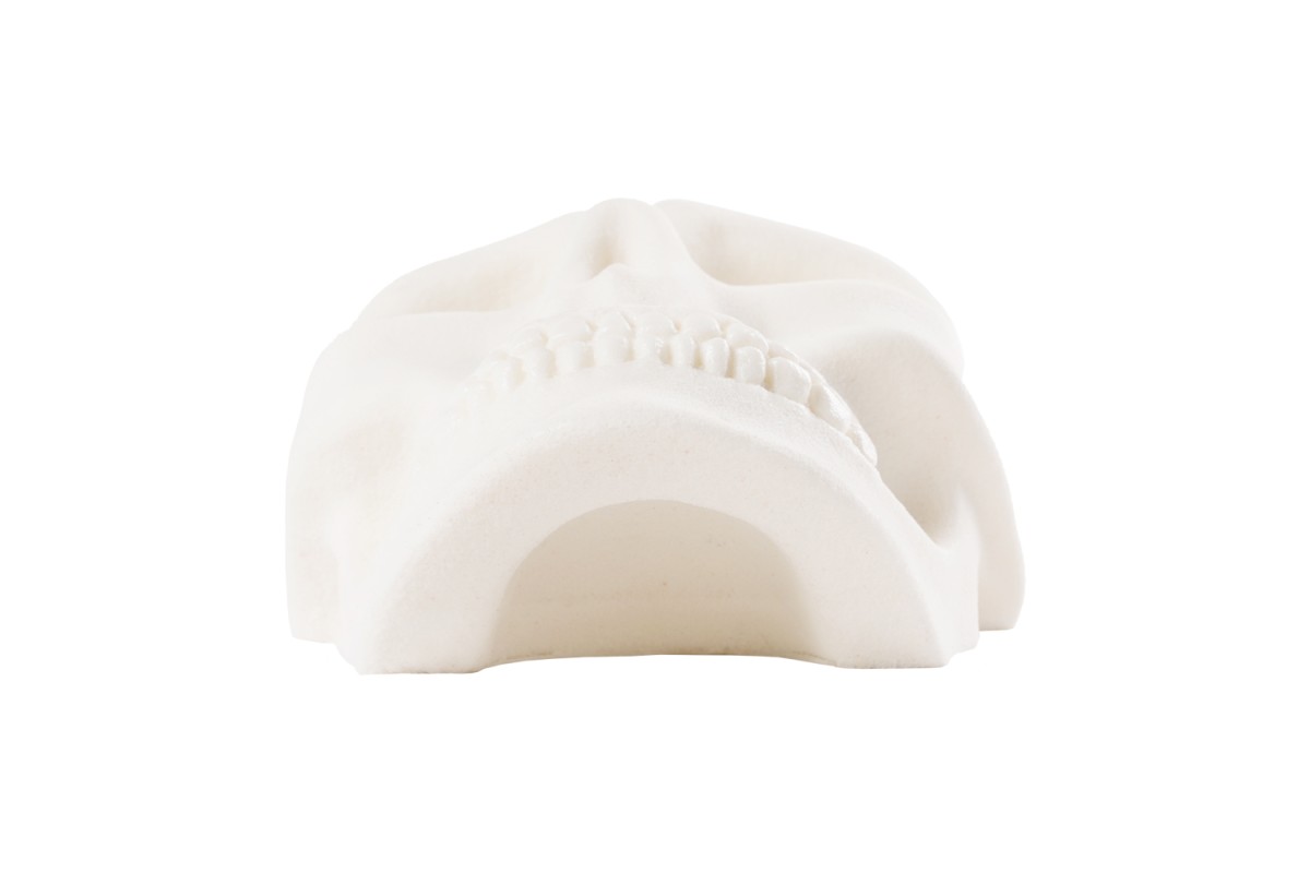 Bones - the half skull