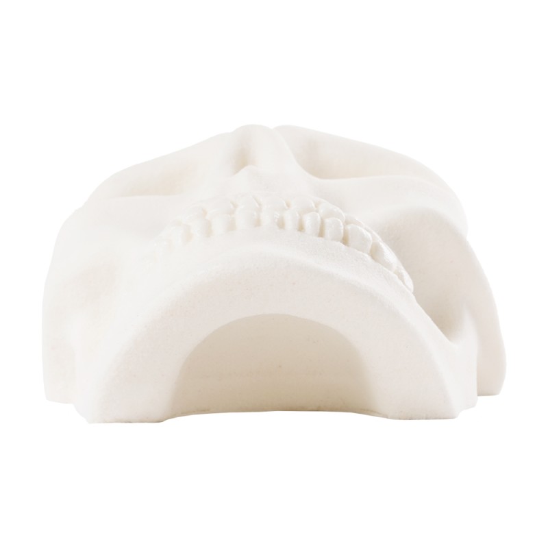 Bones - the half skull