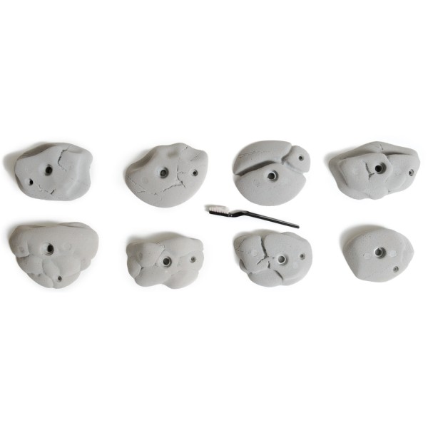 Bleau - COCCINELLE 2