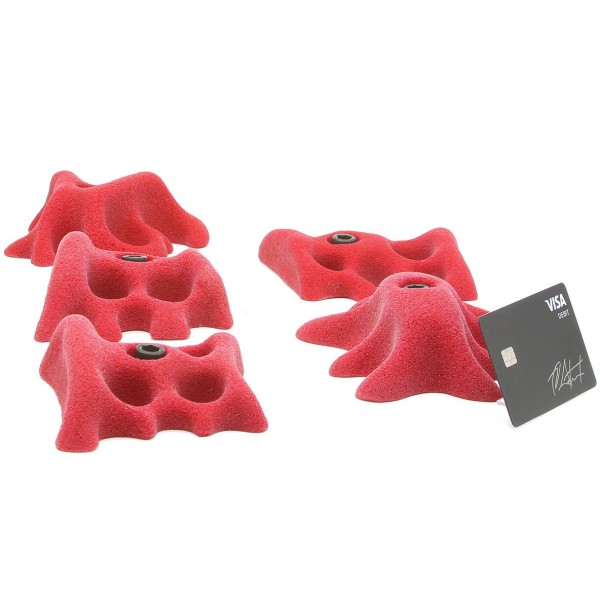 Fungus - Medium 02 2